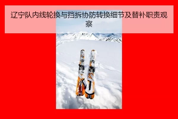 liao-ning-dui-nei-xian-lun-huan-yu-dang-chai-xie-fang-zhuan-huan-xi-jie-ji-ti-bu-zhi-ze-guan-cha-3-553.jpg